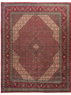 Sarough Mashayekhi