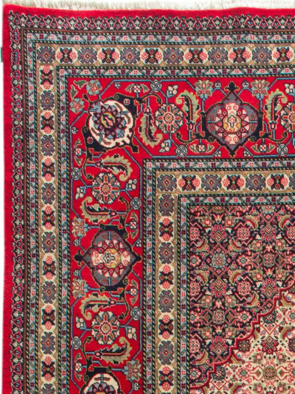 Sarough Mashayekhi