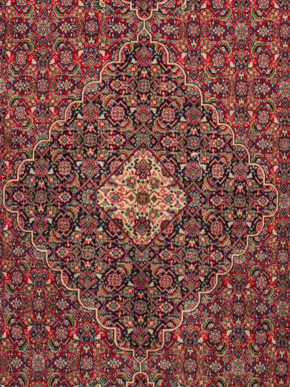 Sarough Mashayekhi