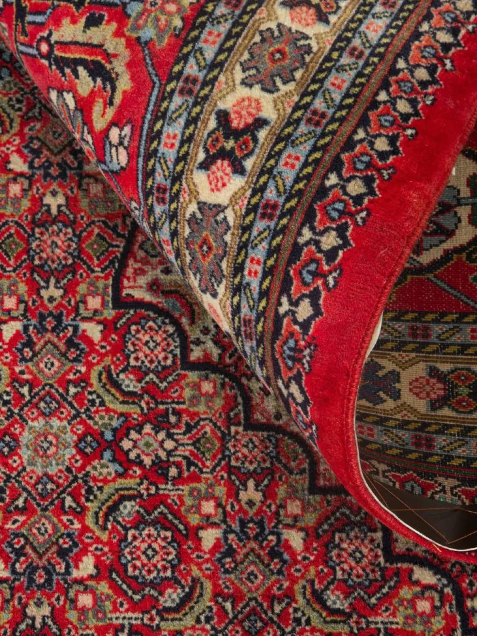Sarough Mashayekhi