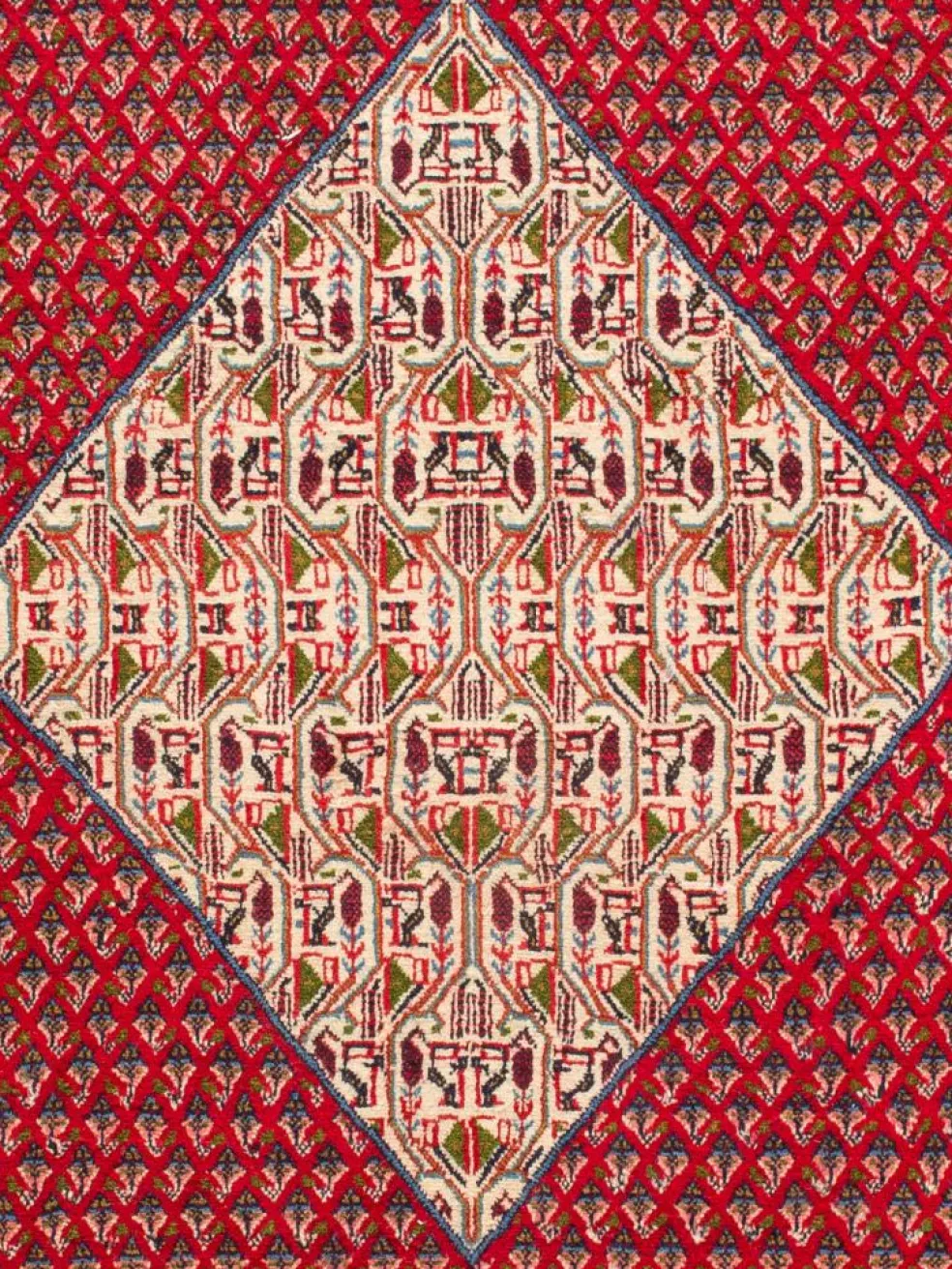 Sarough Mir