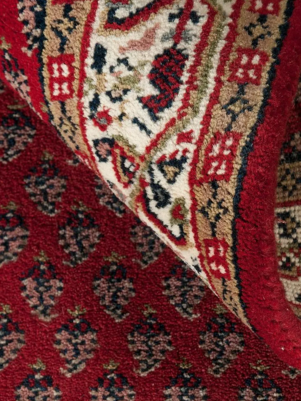 Sarough Mir