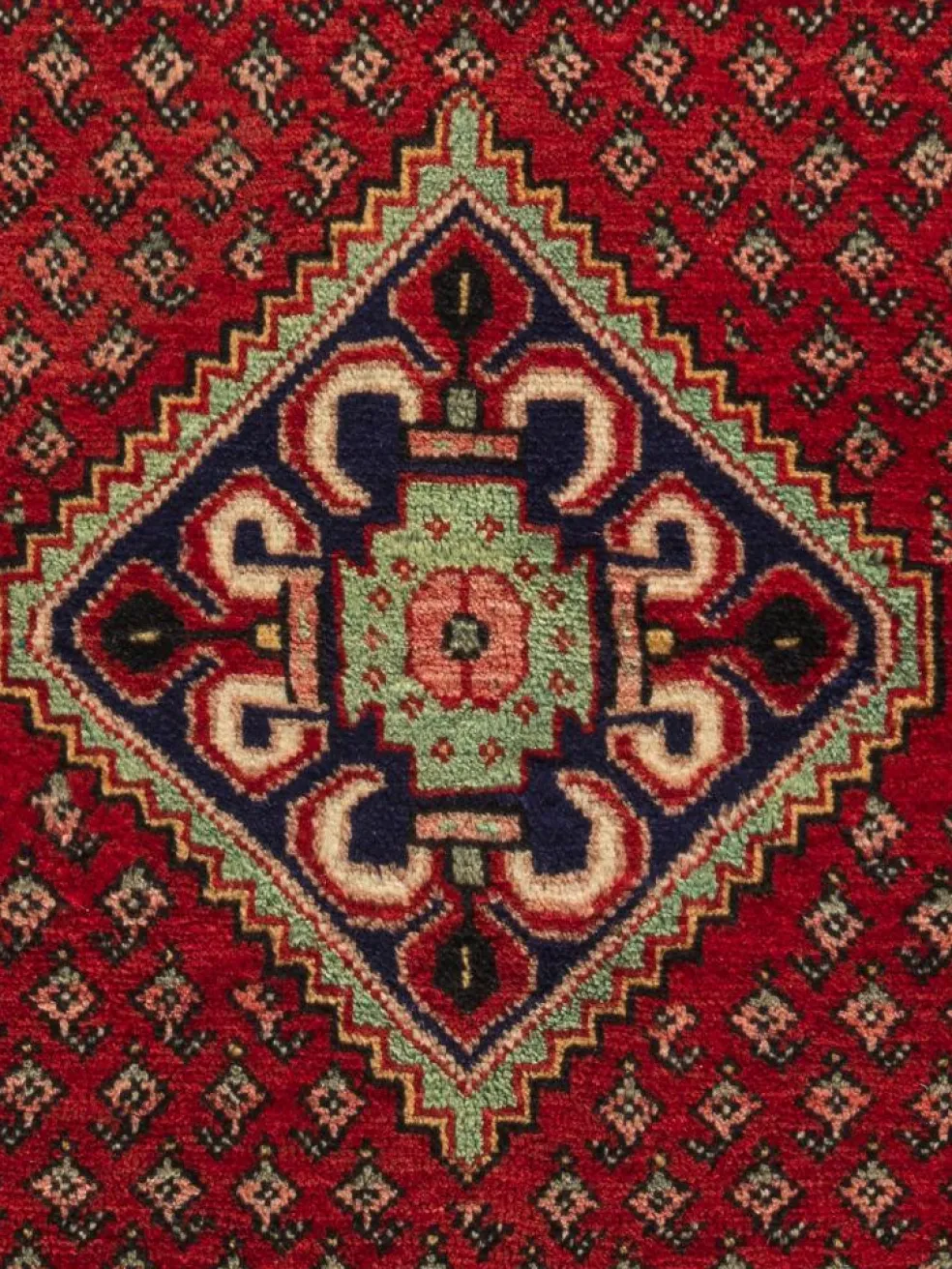 Sarough Mir