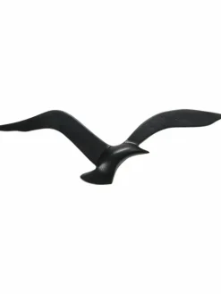 Seagull