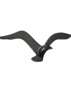 Seagull