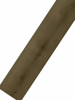 Seda