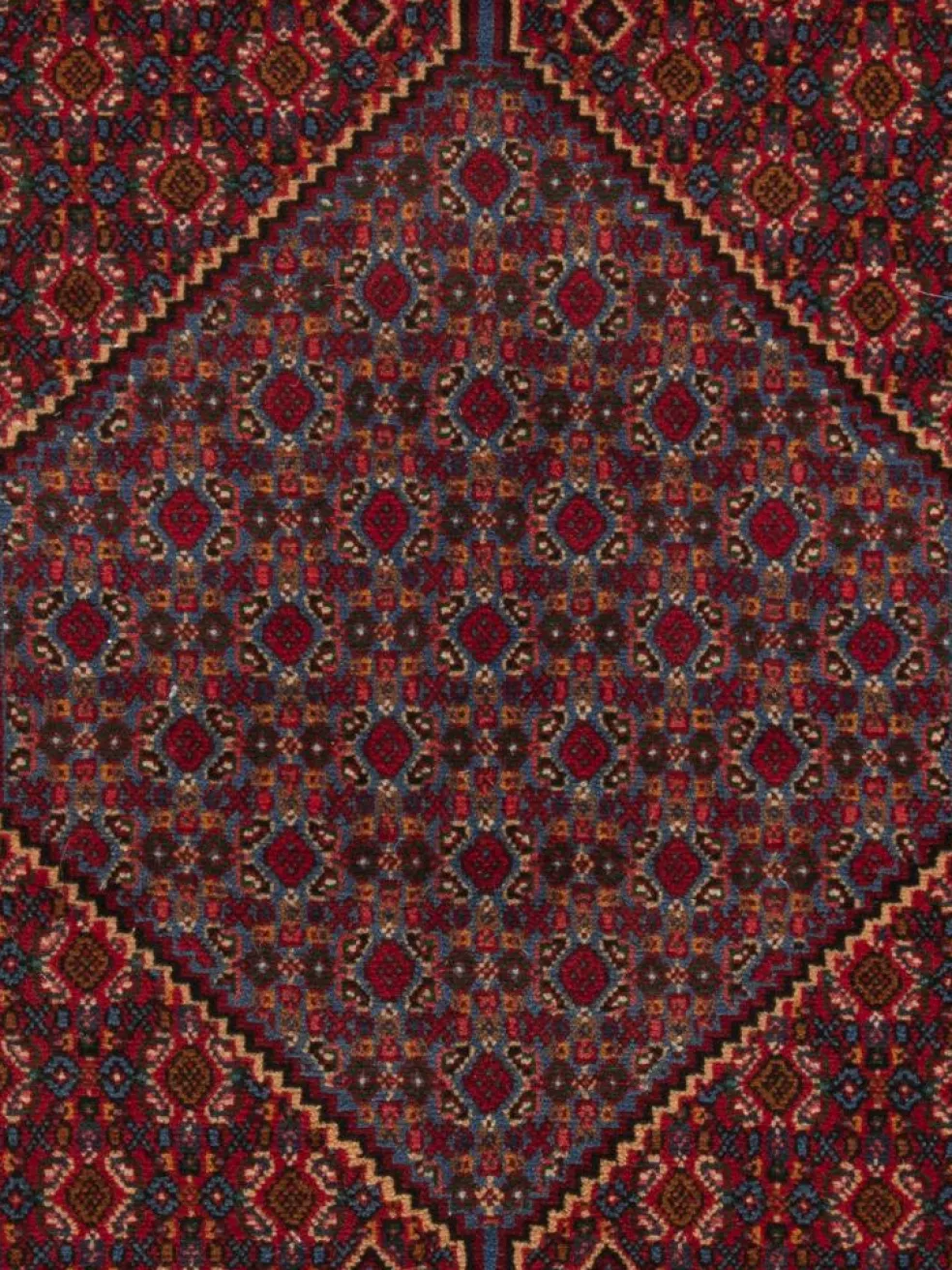 Senneh