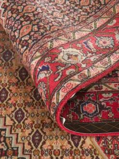 Senneh