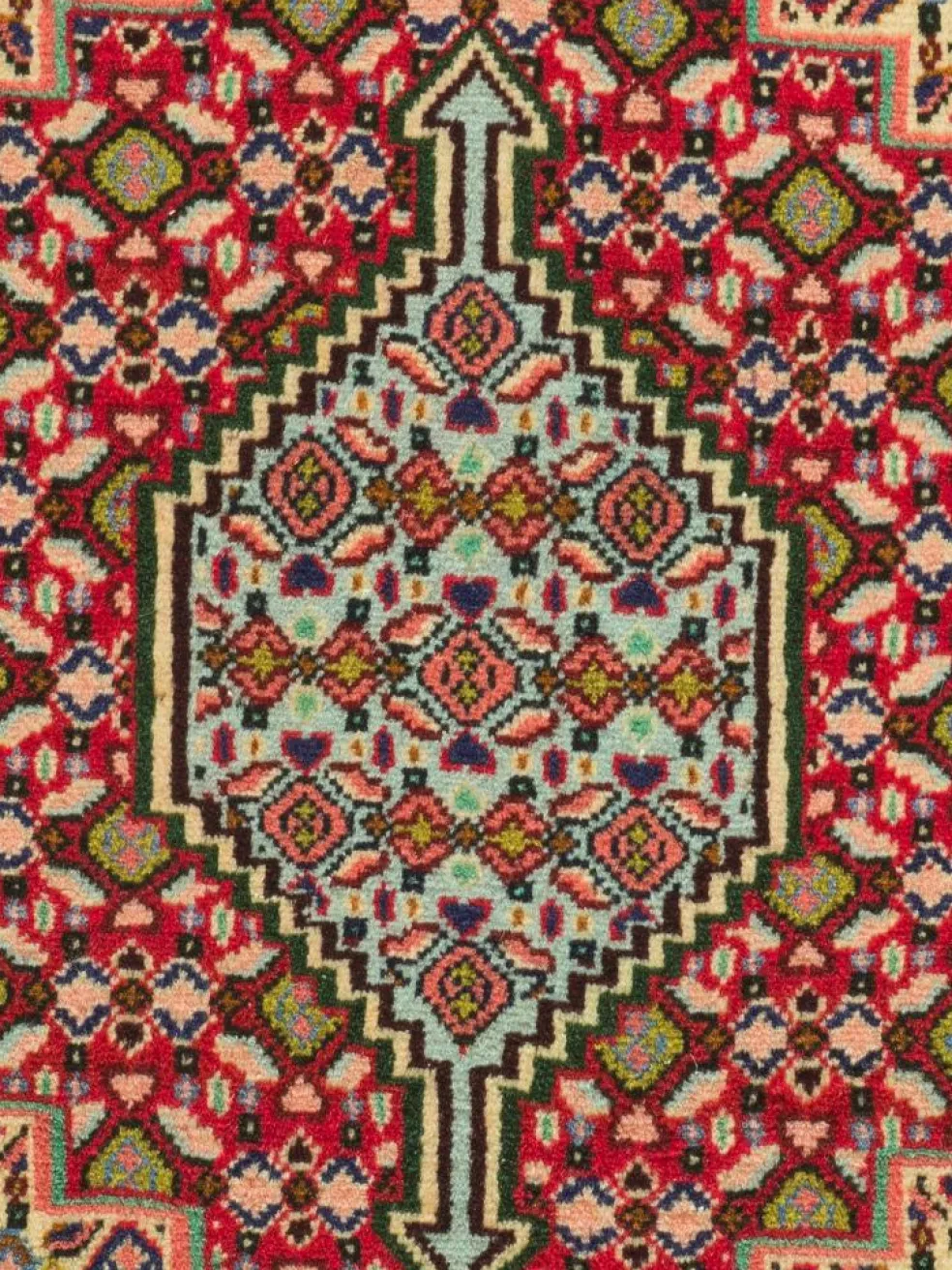 Senneh
