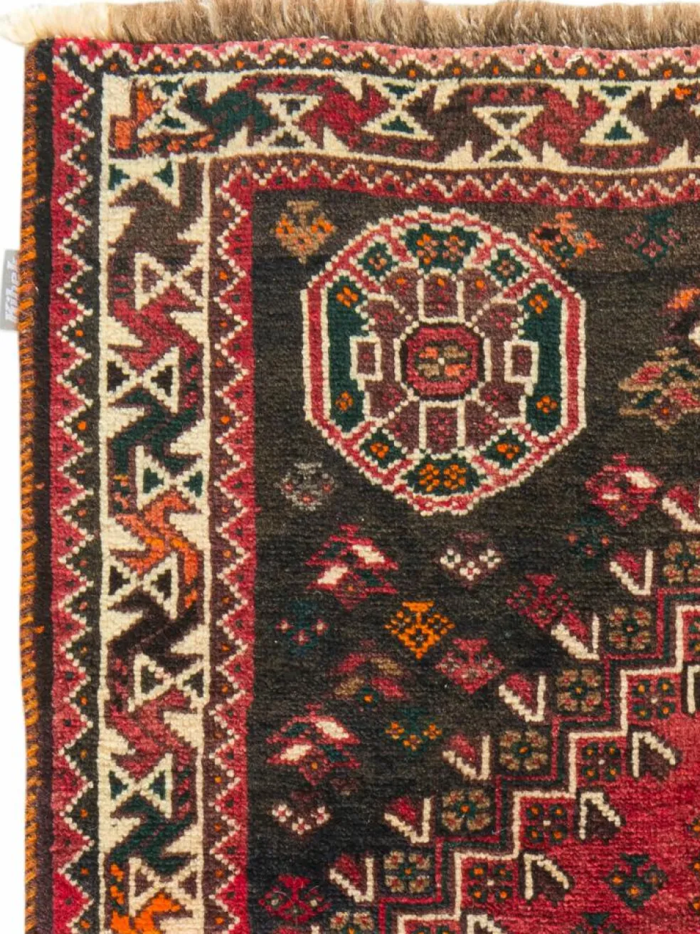 Shiraz