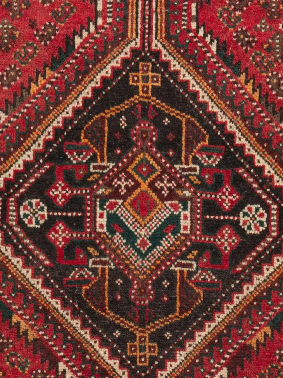 Shiraz