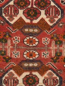 Shiraz