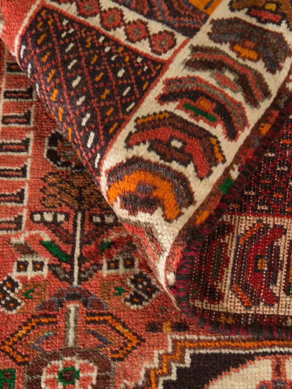Shiraz