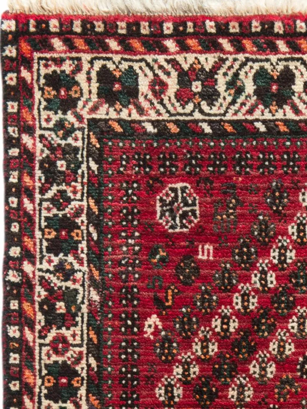 Shiraz