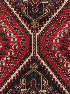 Shiraz