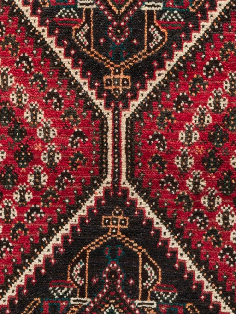 Shiraz
