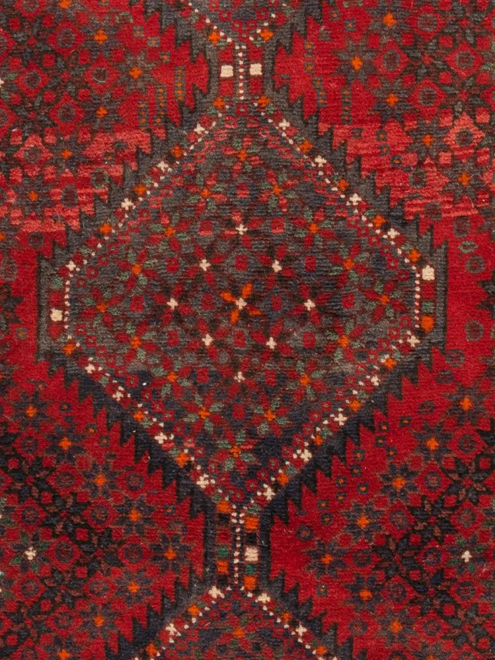 Shiraz