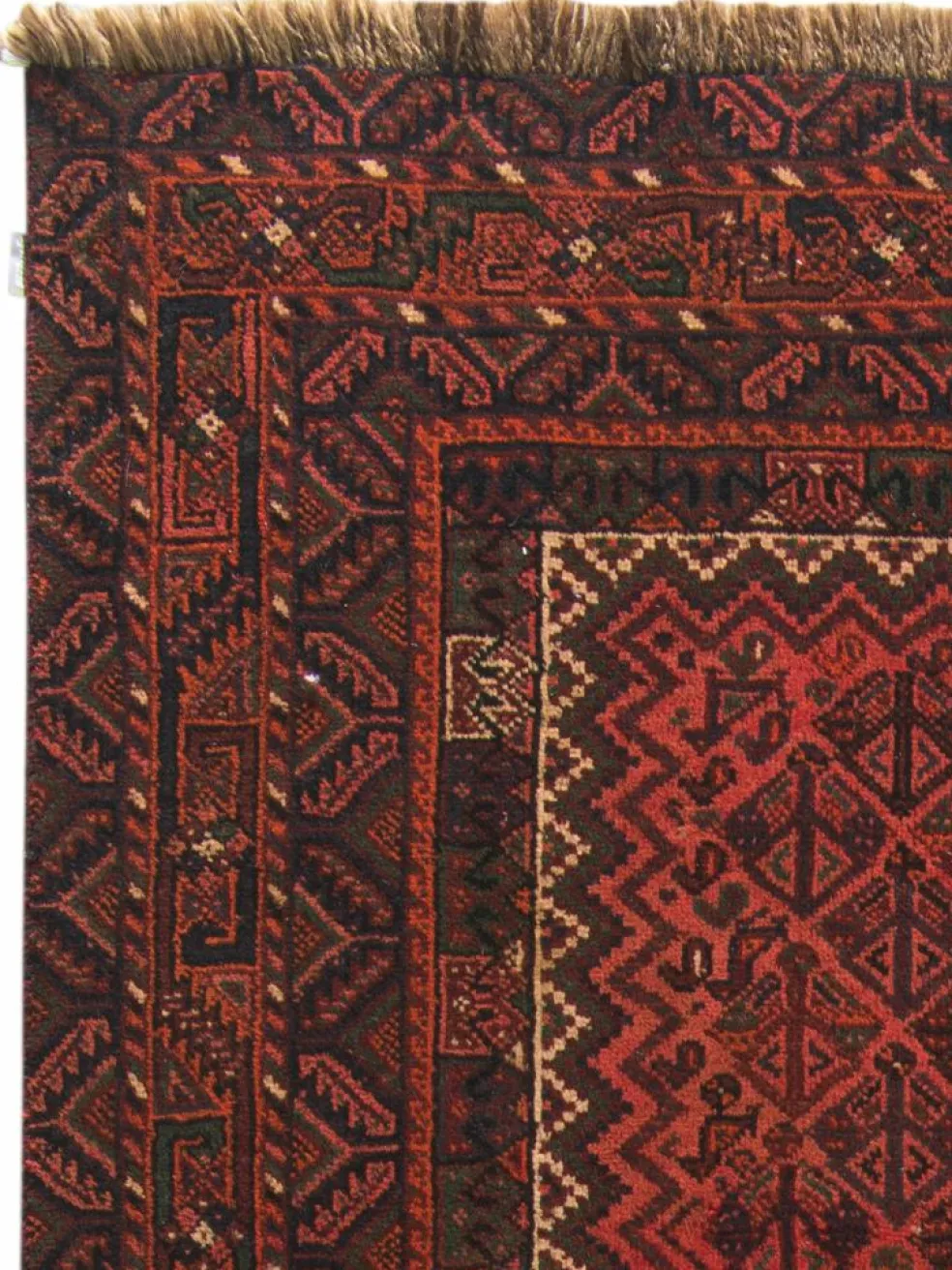 Shiraz
