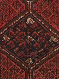 Shiraz