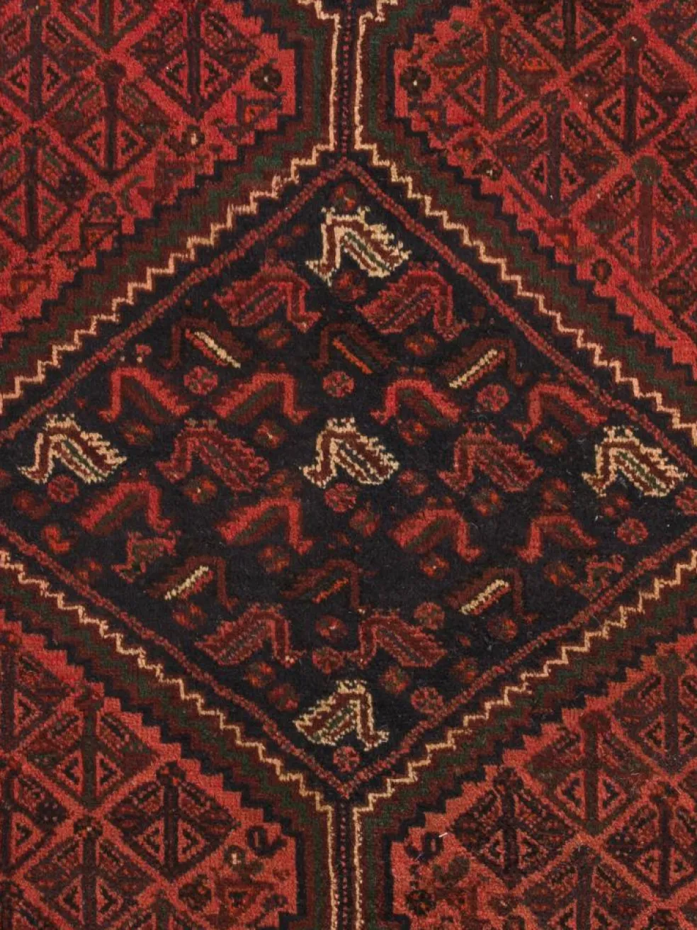 Shiraz