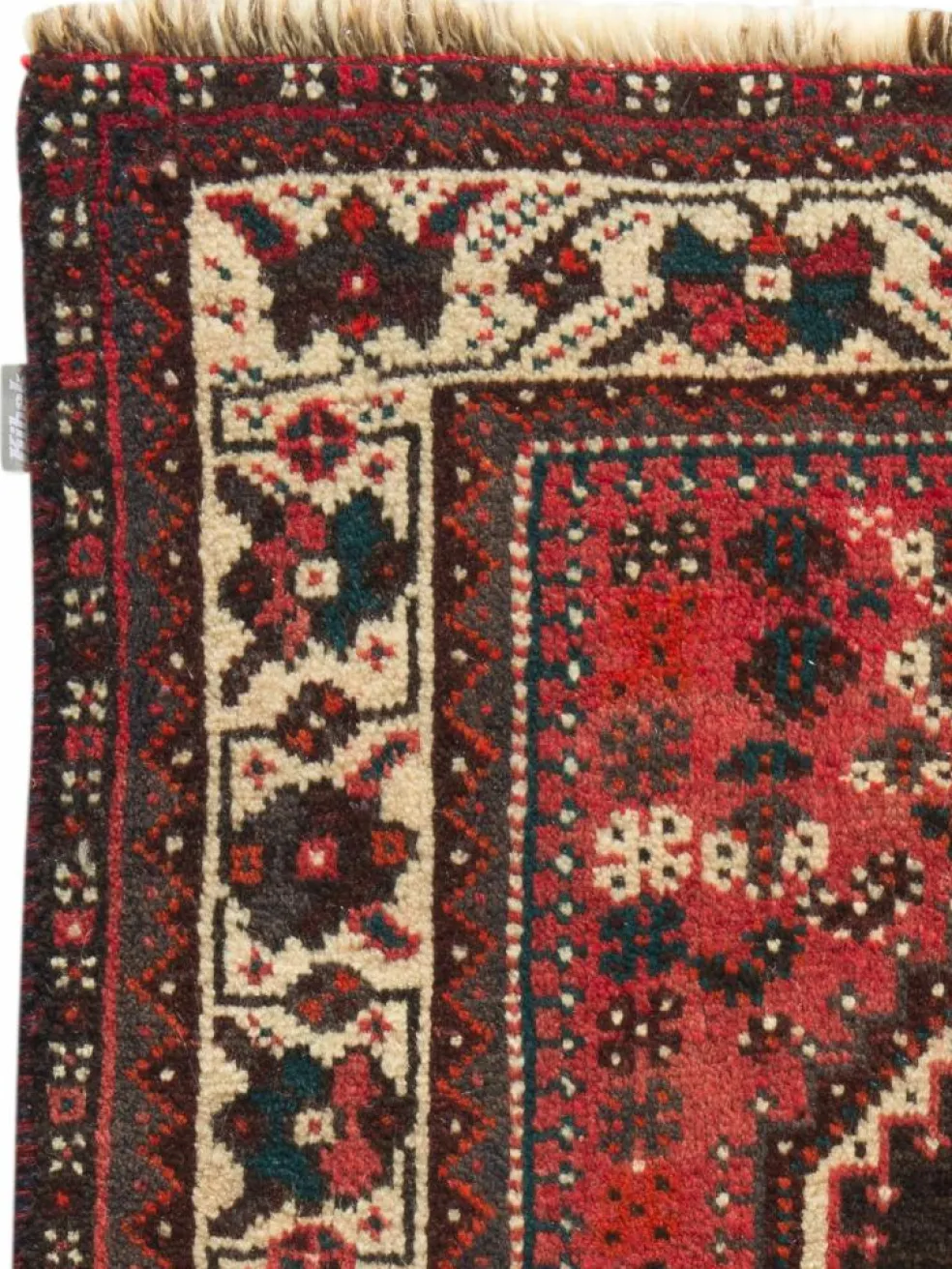 Shiraz