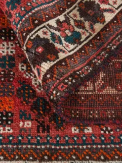 Shiraz