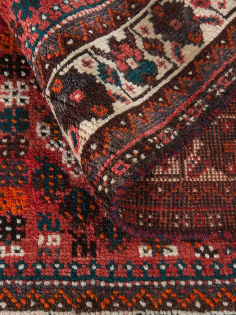Shiraz