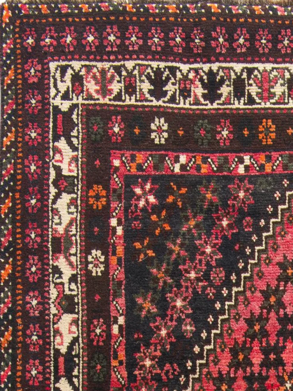 Shiraz