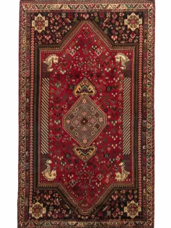 Shiraz