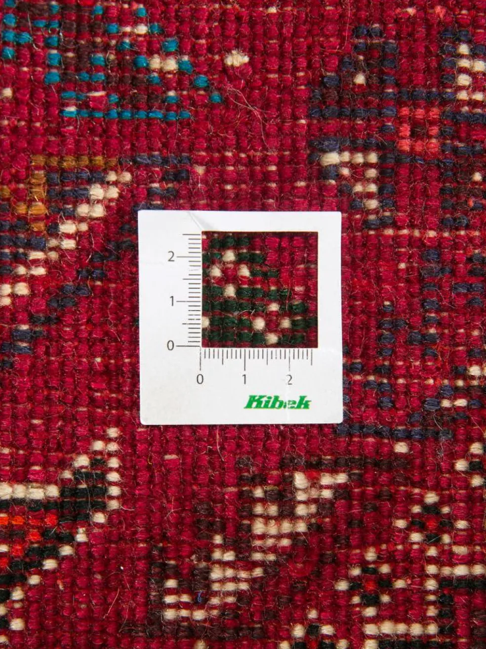 Shiraz