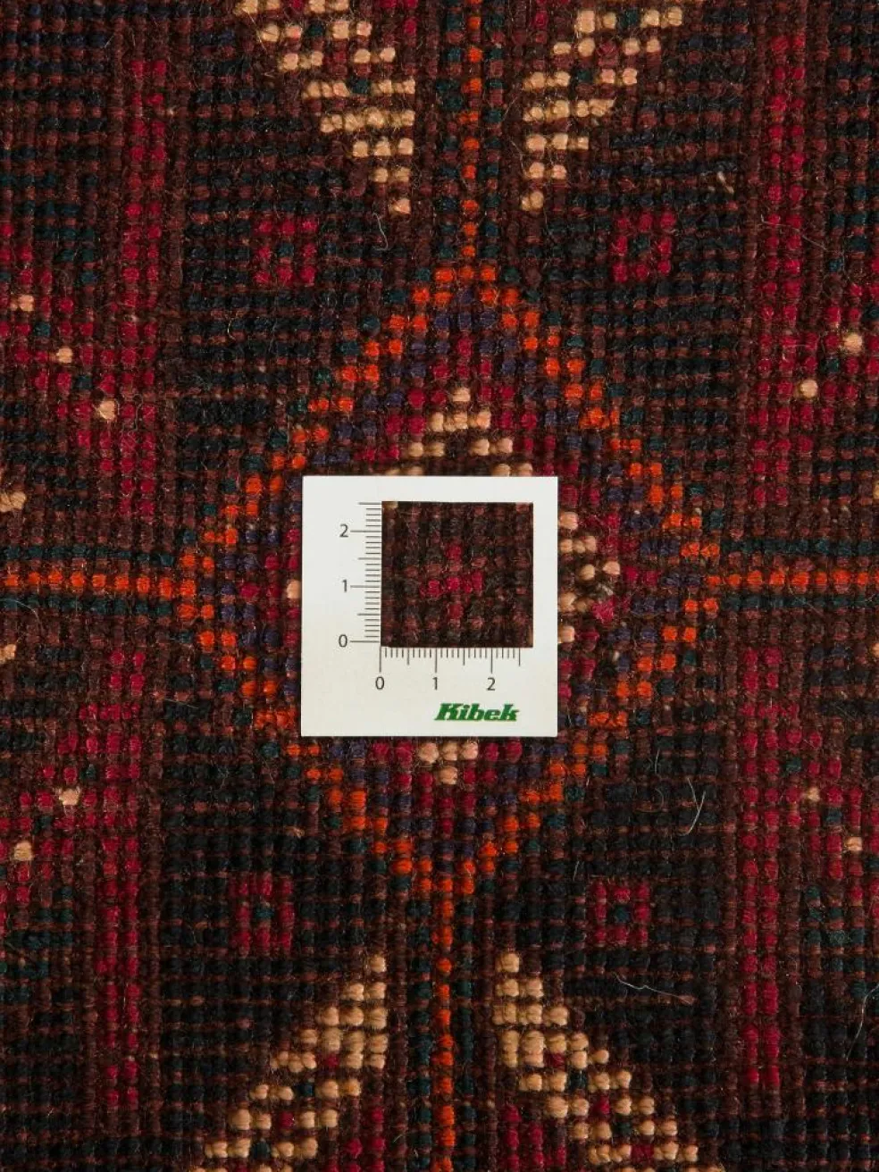 Shiraz