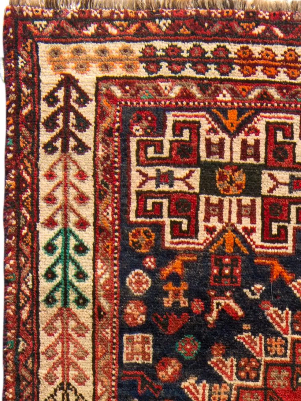 Shiraz