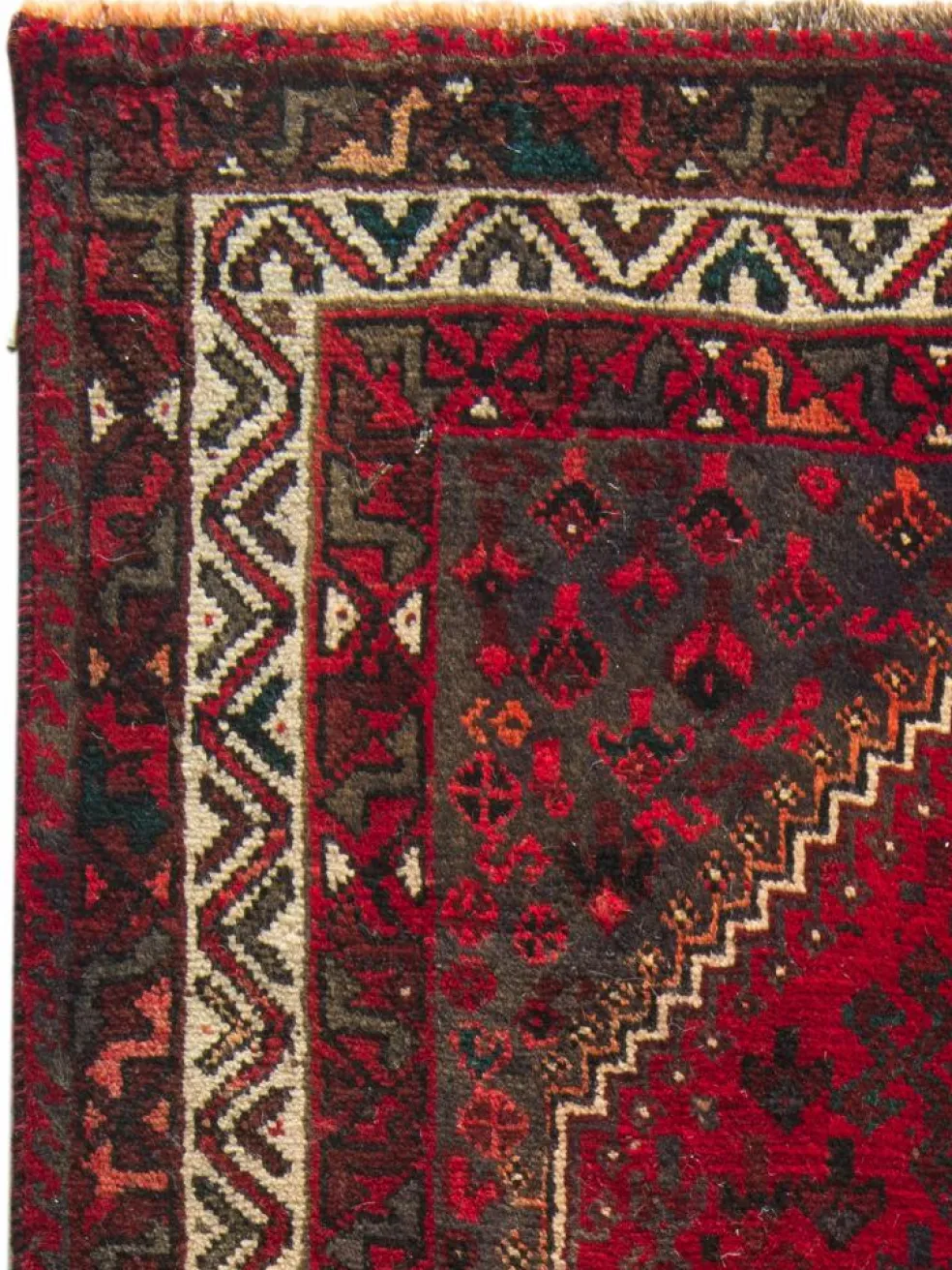 Shiraz