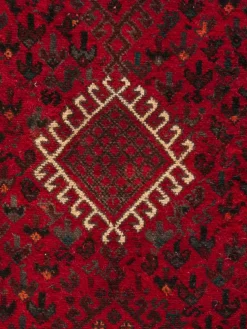 Shiraz