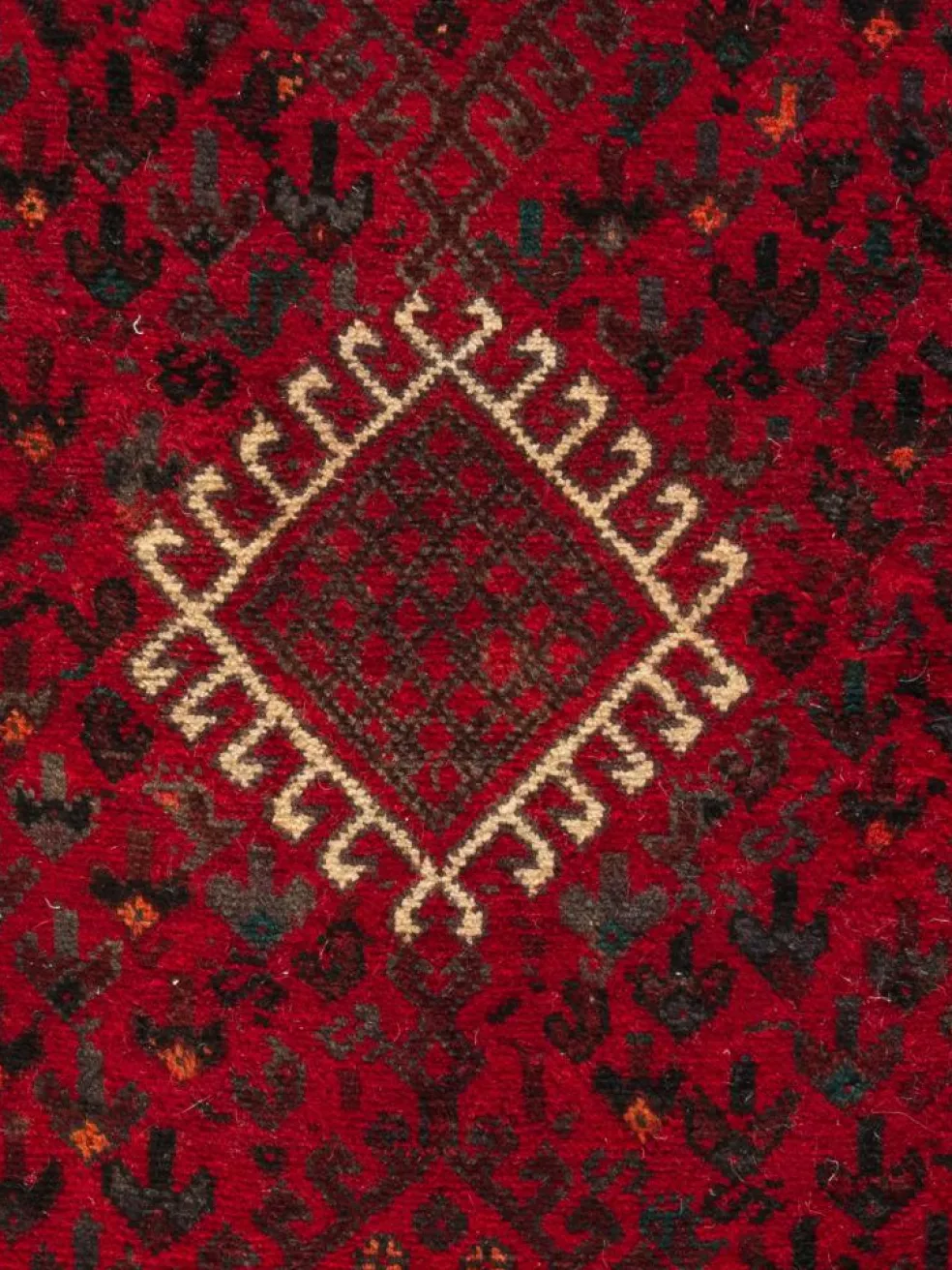 Shiraz