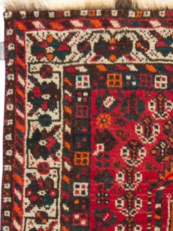 Shiraz