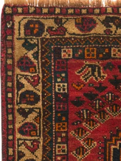 Shiraz