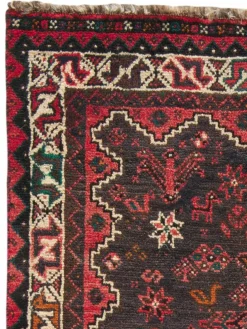 Shiraz