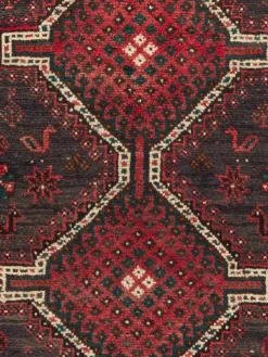Shiraz