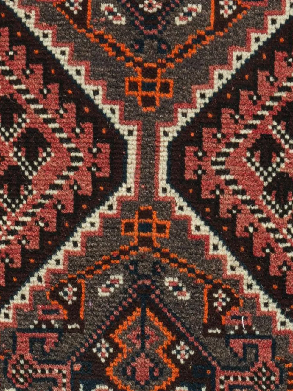 Shiraz