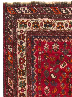 Shiraz