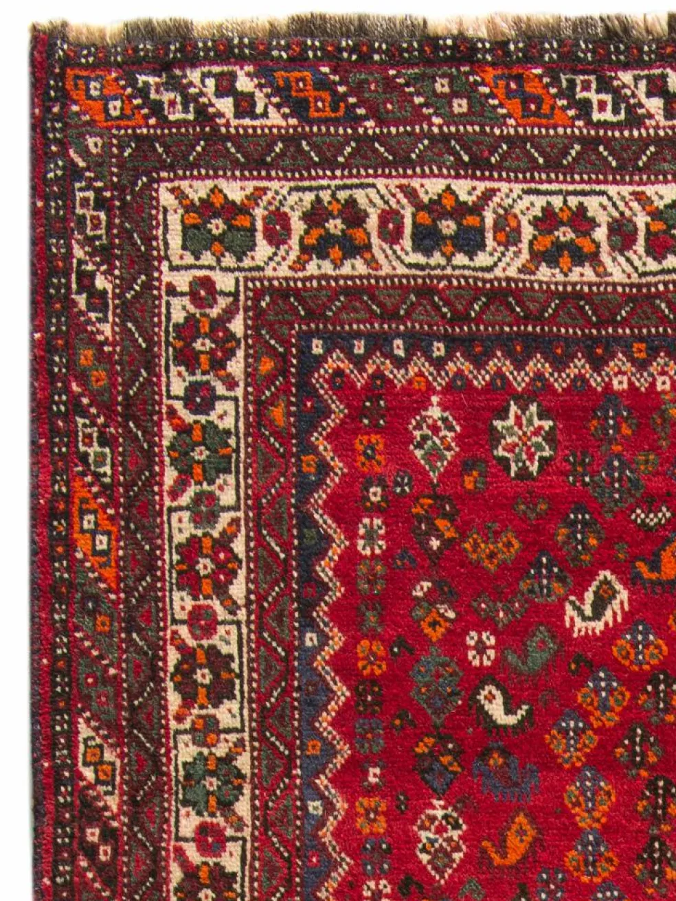 Shiraz