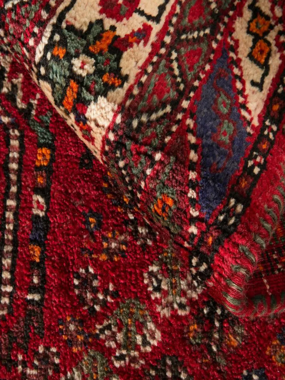 Shiraz