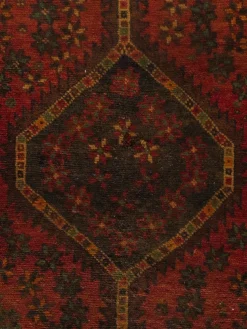 Shiraz