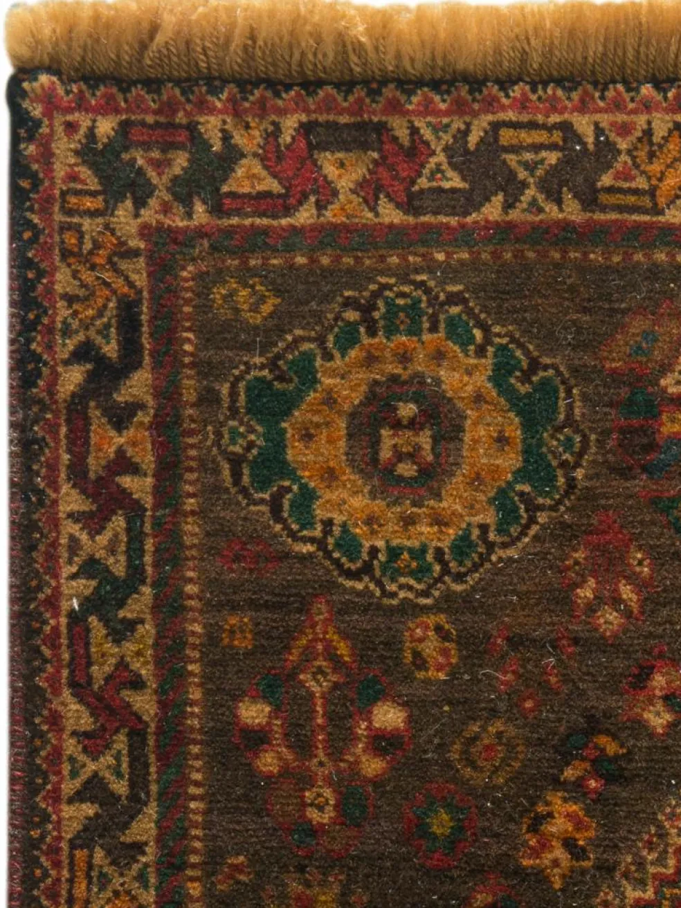 Shiraz