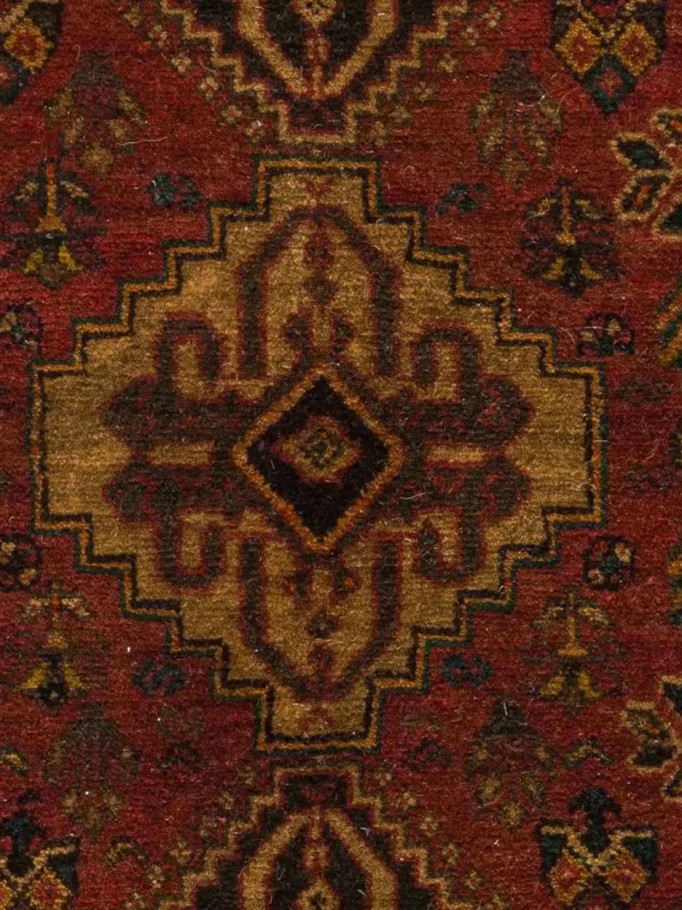 Shiraz