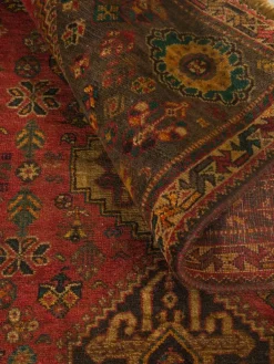 Shiraz