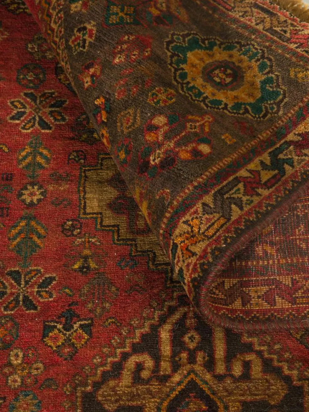Shiraz
