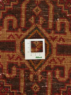 Shiraz