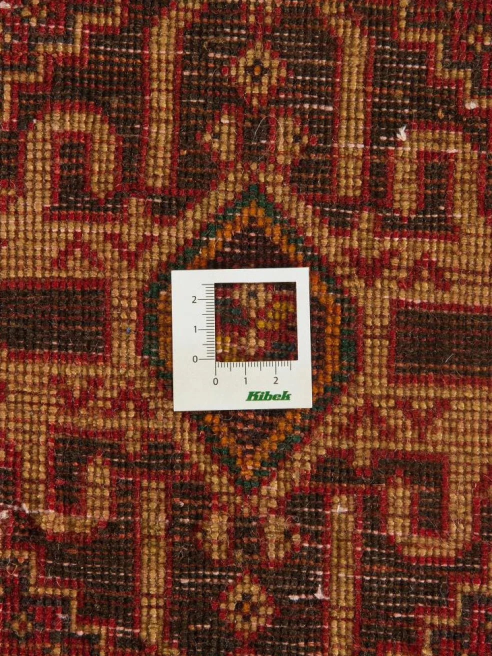 Shiraz